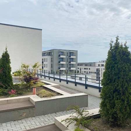 Astoria Apartment - Pet Friendly Brasov Exterior photo